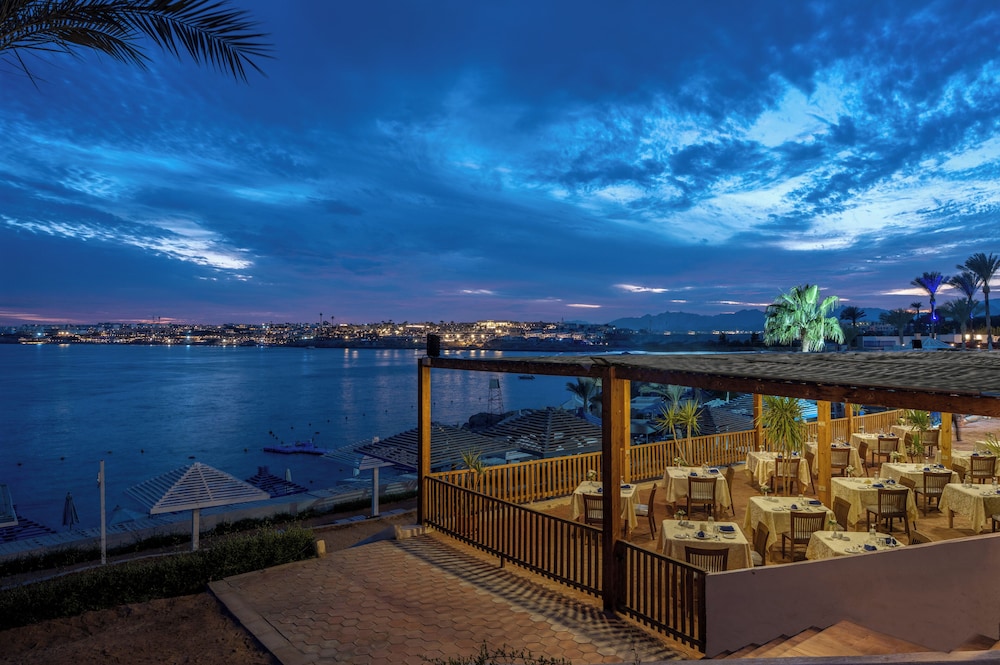 Grand Oasis Resort — Restaurant & bars in Sharm El Sheikh, Red Sea