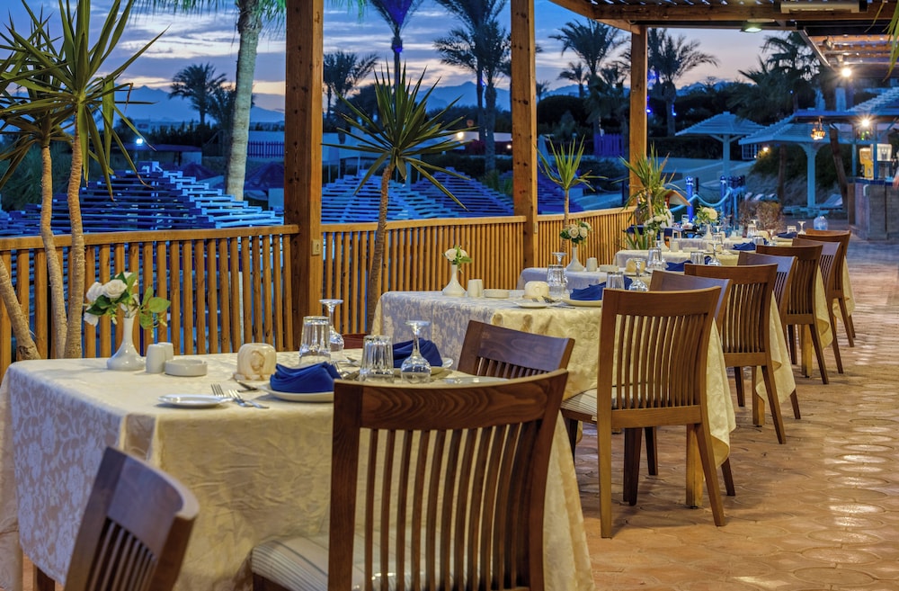 Grand Oasis Resort — Restaurant & bars in Sharm El Sheikh, Red Sea
