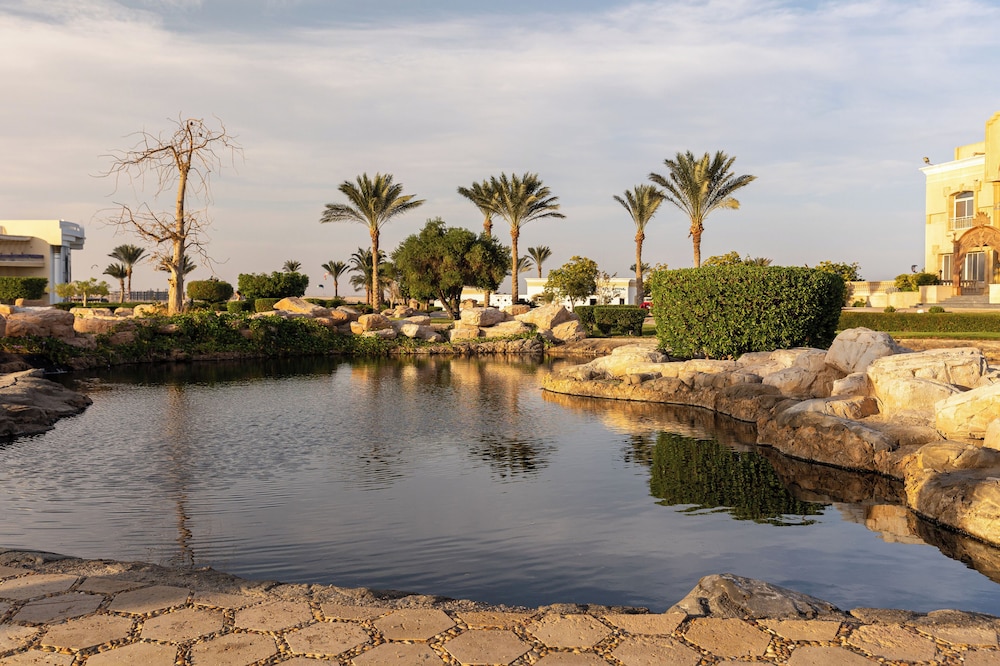 Palm Royale Resort - Soma Bay — Attractions in the area in Soma Bay, Red Sea