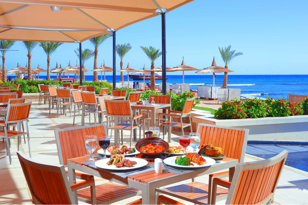 Beach Albatros Resort - All Inclusive — Restaurant & bars in Hurghada, Red Sea