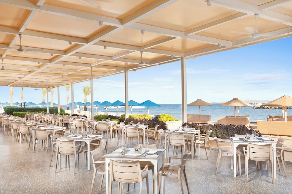 Beach Albatros Resort - All Inclusive — Restaurant & bars in Hurghada, Red Sea