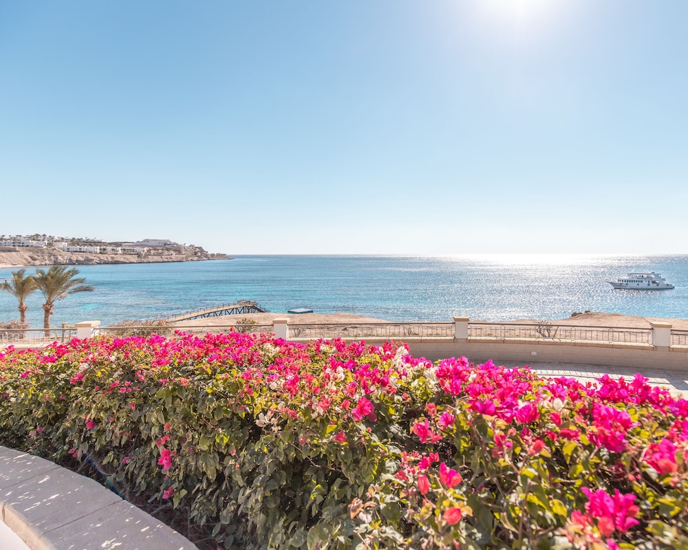 Park Regency Sharm El Sheikh Resort — Beach in Sharm El Sheikh, Red Sea