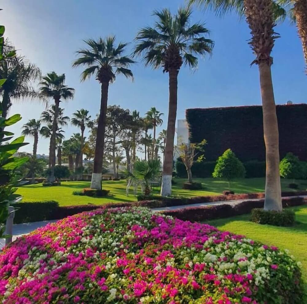 Monte Carlo Sharm Resort & Spa — Hotel building in Sharm El Sheikh, Red Sea