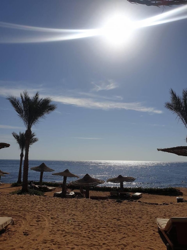 Monte Carlo Sharm Resort & Spa — Beach in Sharm El Sheikh, Red Sea