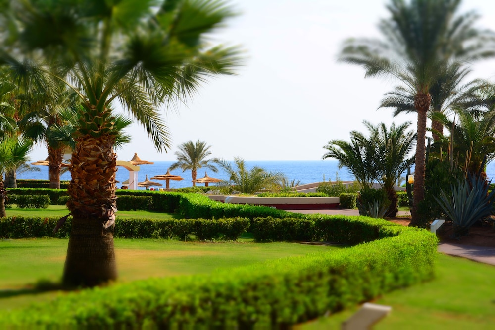 Monte Carlo Sharm Resort & Spa — Beach in Sharm El Sheikh, Red Sea