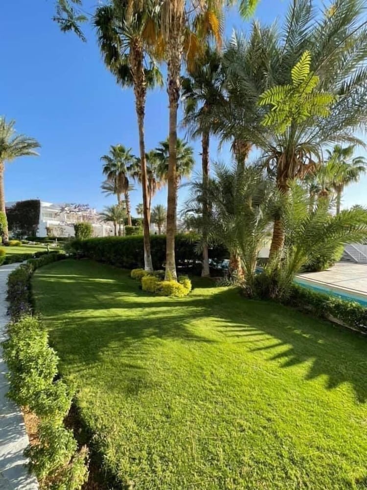 Monte Carlo Sharm Resort & Spa — Swimming pool in Sharm El Sheikh, Red Sea