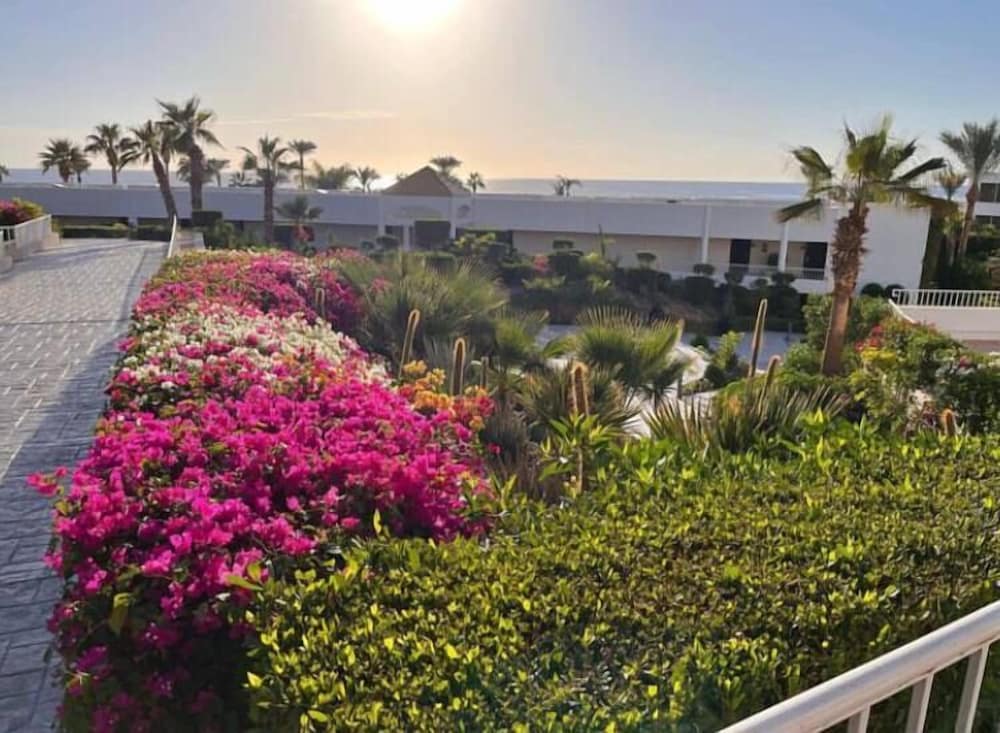 Monte Carlo Sharm Resort & Spa — Hotel building in Sharm El Sheikh, Red Sea