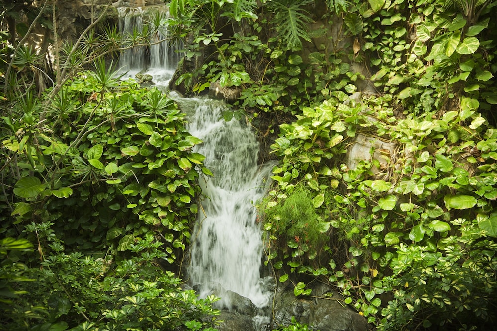 Hotel Jardines de Nivaria — View in Costa Adeje, Canary Islands