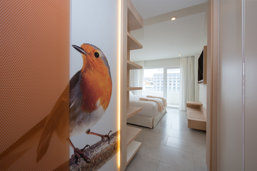 Iberostar Selection Sábila - Adults Only — Hotel rooms in Costa Adeje, Canary Islands