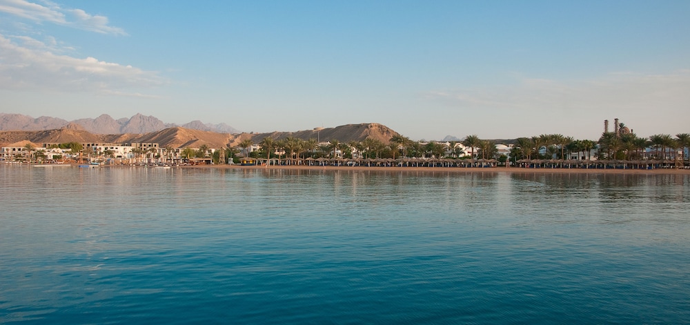 JAZ Elite Palace – Adults Friendly 16 Years Plus — Beach in Sharm El Sheikh, Red Sea