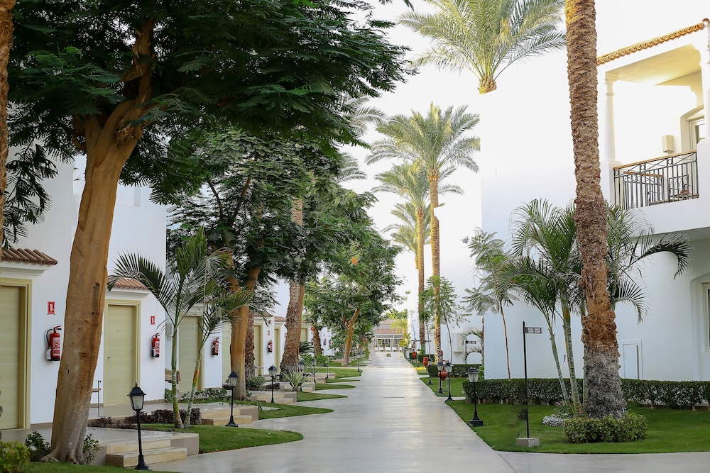 JAZ Fanara Resort - All Inclusive — Hotel building in Sharm El Sheikh, Red Sea