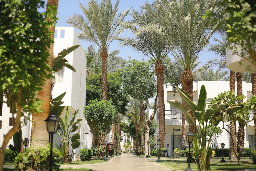 JAZ Fanara Resort - All Inclusive — Hotel building in Sharm El Sheikh, Red Sea