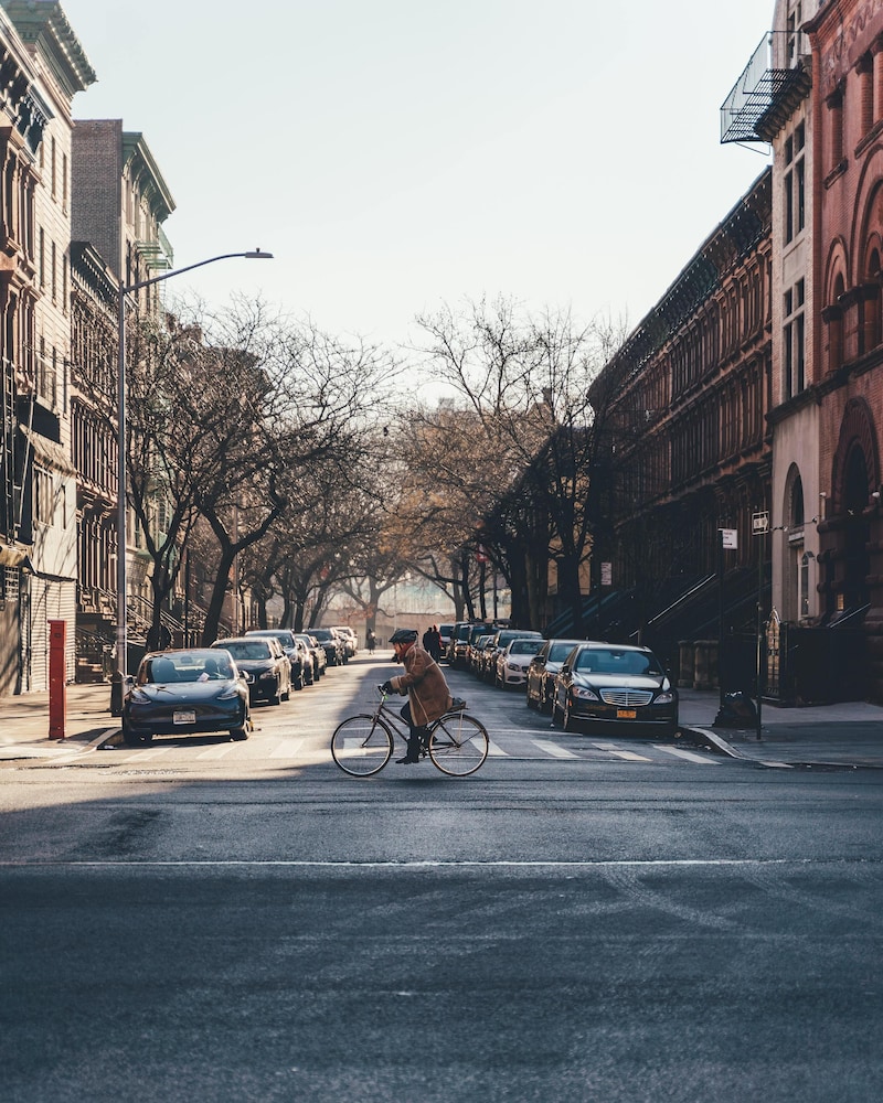 The Central Park North — Attractions in the area in New York City, New York State