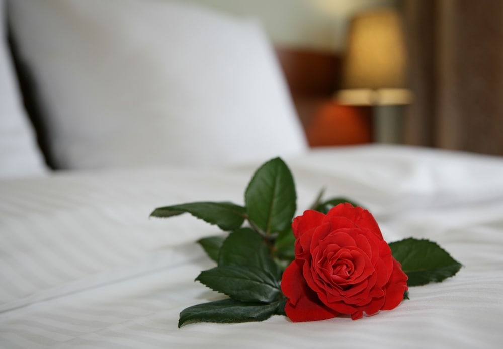 Aparthotel Globus — Hotel rooms in Krakow, Lesser Poland