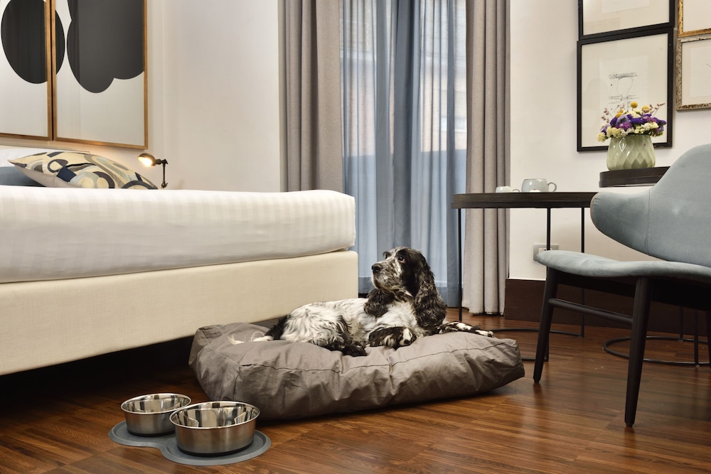 Hotel Pulitzer Roma — Hotel rooms in Rome, Lazio