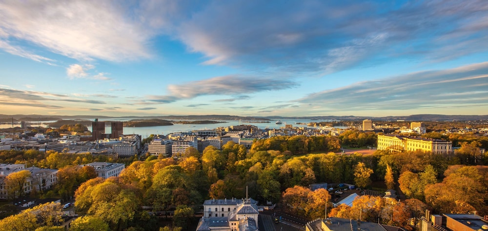 Radisson Blu Scandinavia Hotel, Oslo - zdjęcie 3
