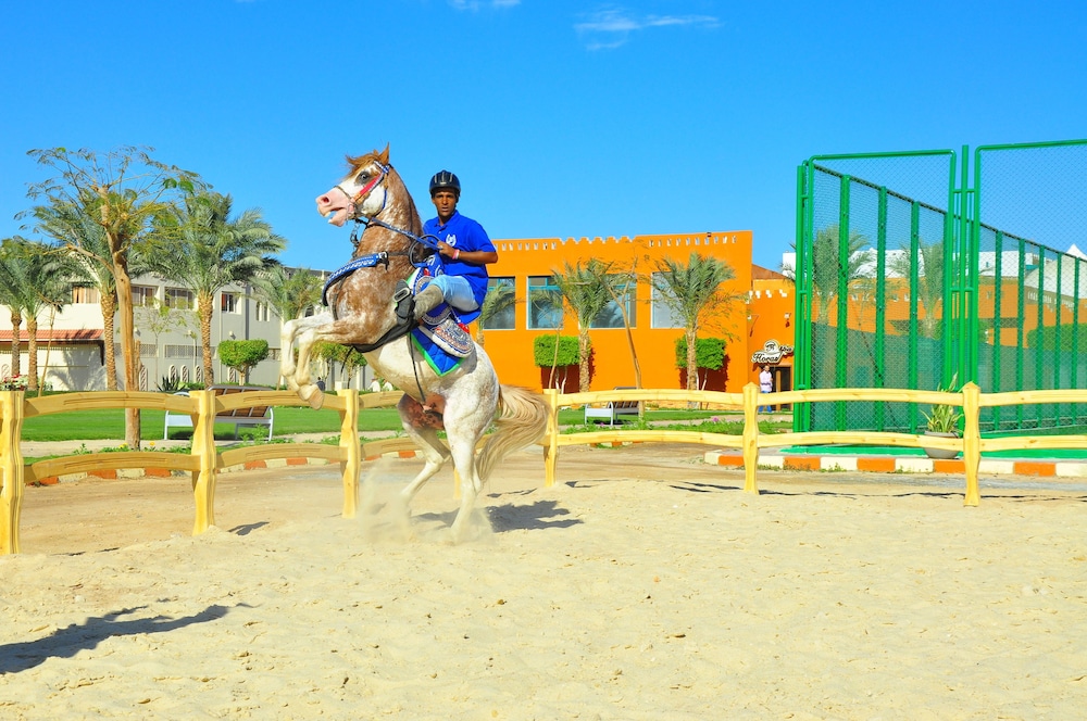 SUNRISE Garden Beach Resort - All inclusive — Sports & recreation in Hurghada, Red Sea