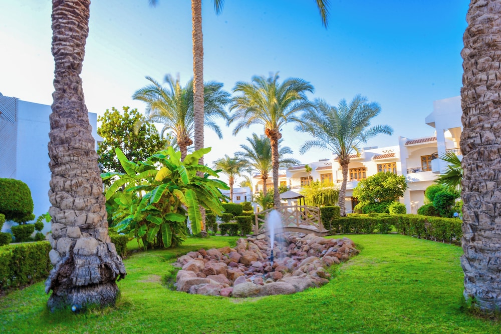 Dive Inn Resort — Hotel building in Sharm El Sheikh, Red Sea