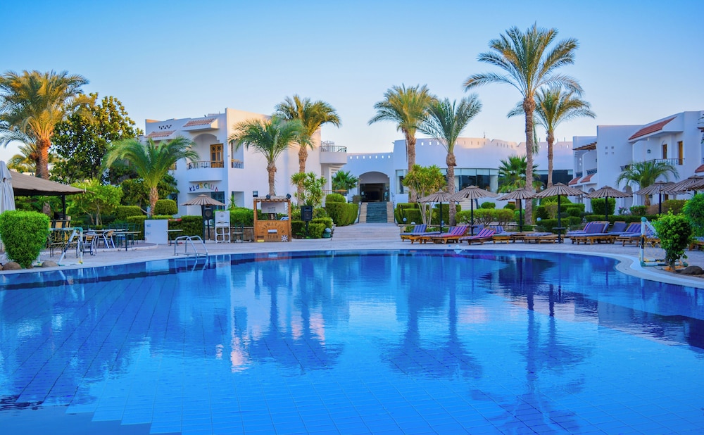 Dive Inn Resort — Swimming pool in Sharm El Sheikh, Red Sea