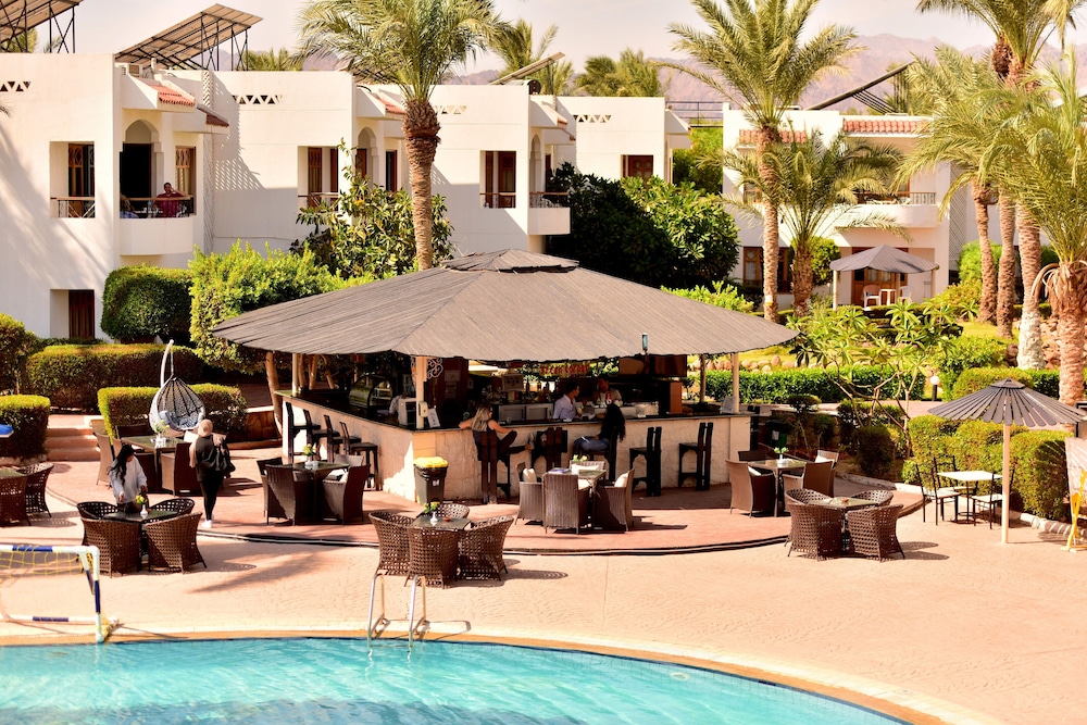 Dive Inn Resort — Restaurant & bars in Sharm El Sheikh, Red Sea
