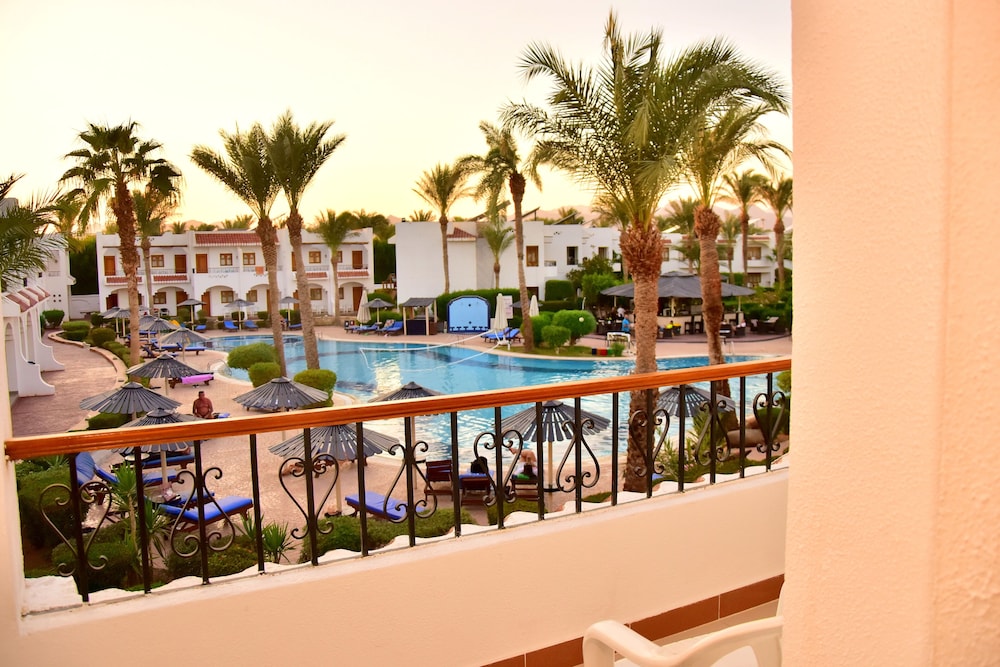 Dive Inn Resort — Swimming pool in Sharm El Sheikh, Red Sea