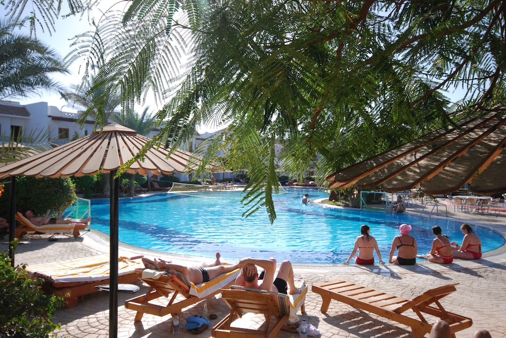Dive Inn Resort — Swimming pool in Sharm El Sheikh, Red Sea