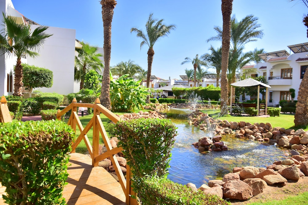 Dive Inn Resort — Hotel building in Sharm El Sheikh, Red Sea