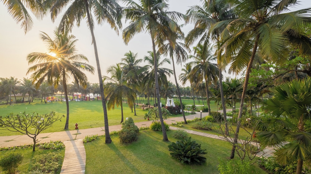 Novotel Goa Dona Sylvia Resort — Attractions in the area in Cavelossim, Goa