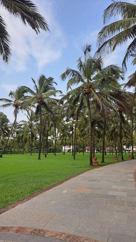 Novotel Goa Dona Sylvia Resort — Attractions in the area in Cavelossim, Goa