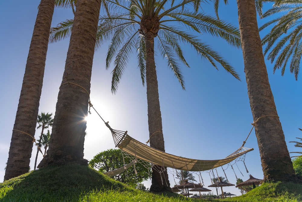Elba Sara Beach & Golf Resort — Beach in Costa de Antigua, Canary Islands