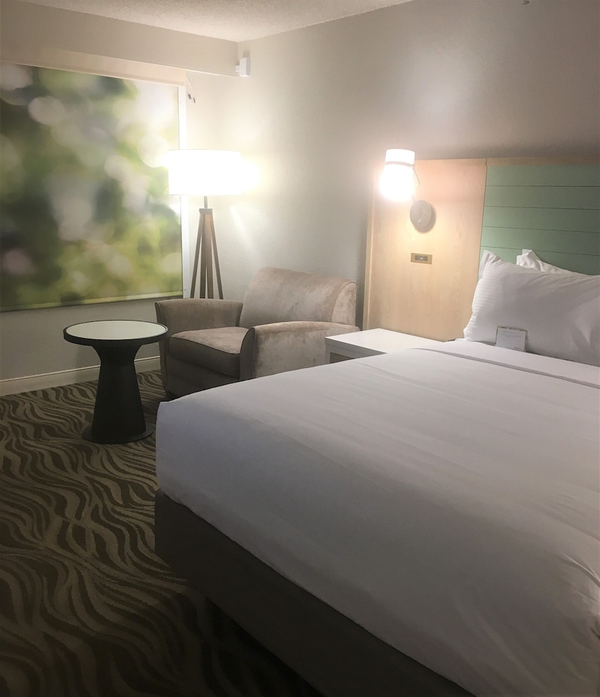 Wyndham Garden Lake Buena Vista – Disney Springs® Area — Hotel rooms in Lake Buena Vista, Florida