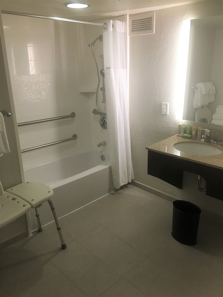 Wyndham Garden Lake Buena Vista – Disney Springs® Area — Hotel rooms in Lake Buena Vista, Florida