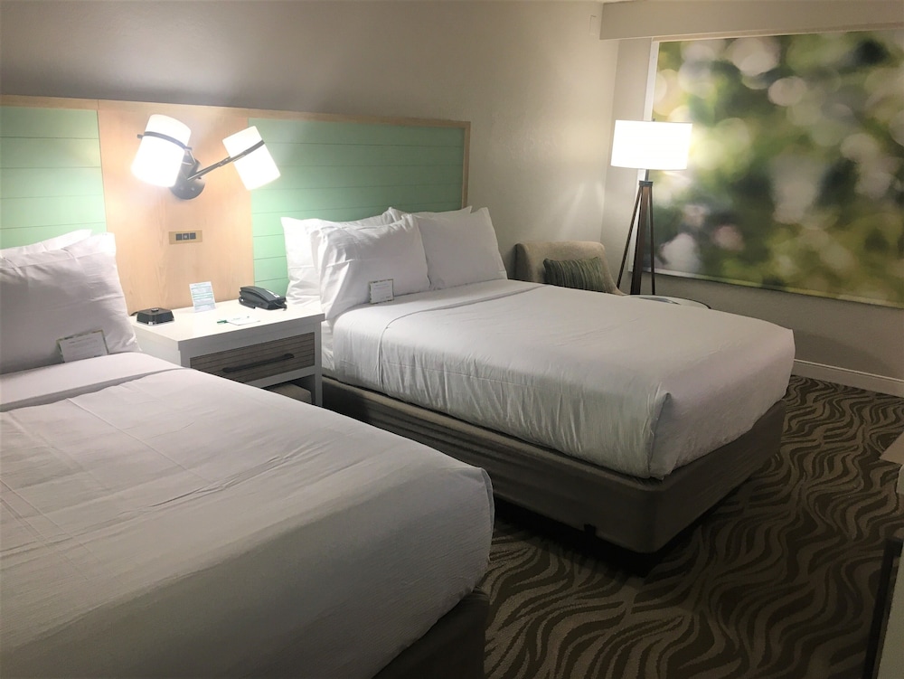 Wyndham Garden Lake Buena Vista – Disney Springs® Area — Hotel rooms in Lake Buena Vista, Florida