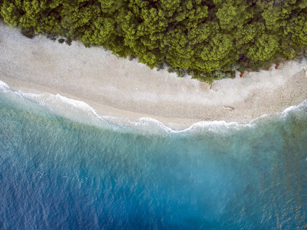 Bluesun Hotel Neptun — Beach in Tucepi, Split-Dalmatia
