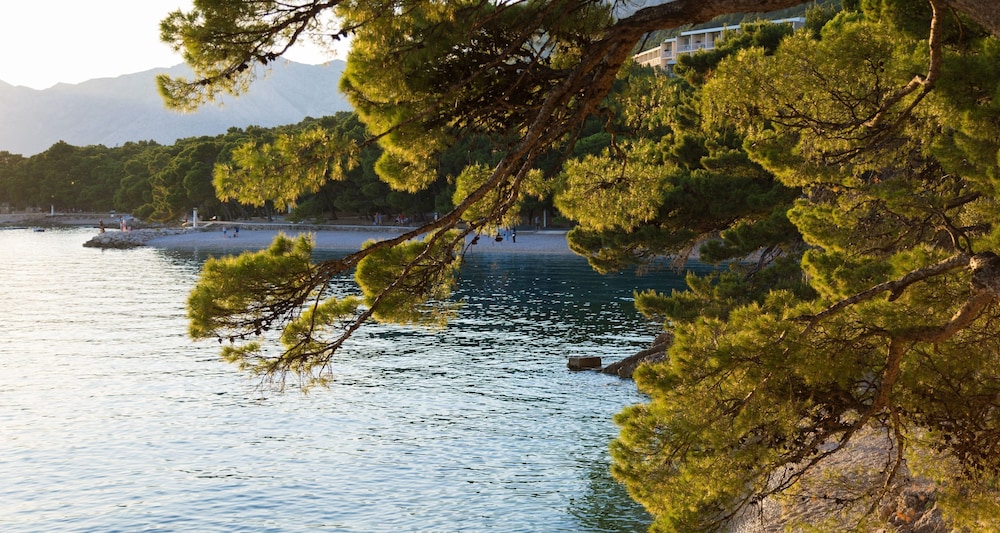 Bluesun Hotel Soline — Beach in Brela, Split-Dalmatia