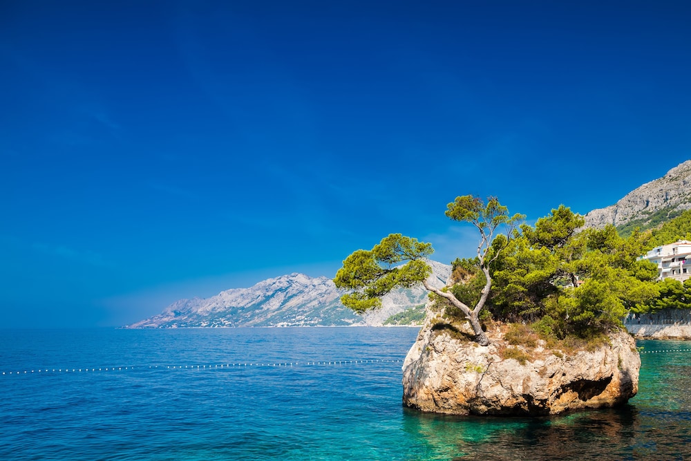 Bluesun Hotel Soline — Beach in Brela, Split-Dalmatia