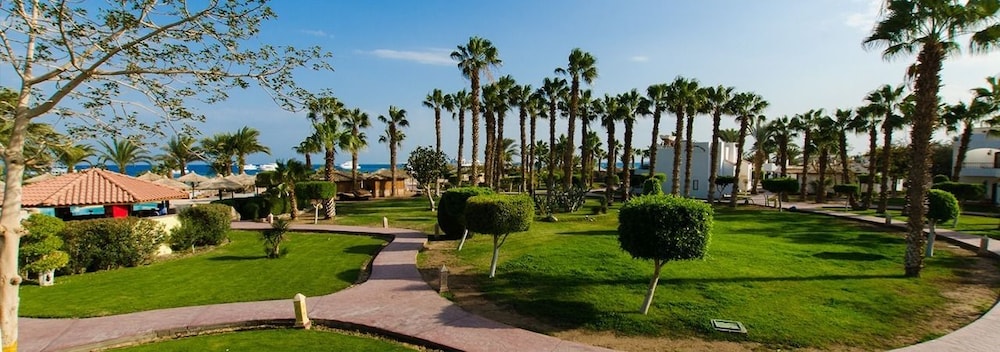 Lotus Bay Resort — Beach in Safaga, Red Sea