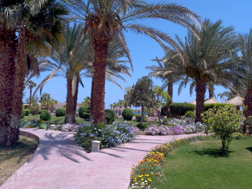 Lotus Bay Resort — Attractions in the area in Safaga, Red Sea
