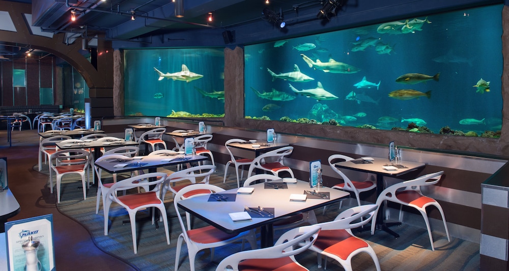 Staybridge Suites Orlando at SeaWorld by IHG — Restaurant & bars in Orlando, Florida
