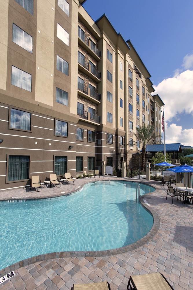 Staybridge Suites Orlando at SeaWorld by IHG — Swimming pool in Orlando, Florida
