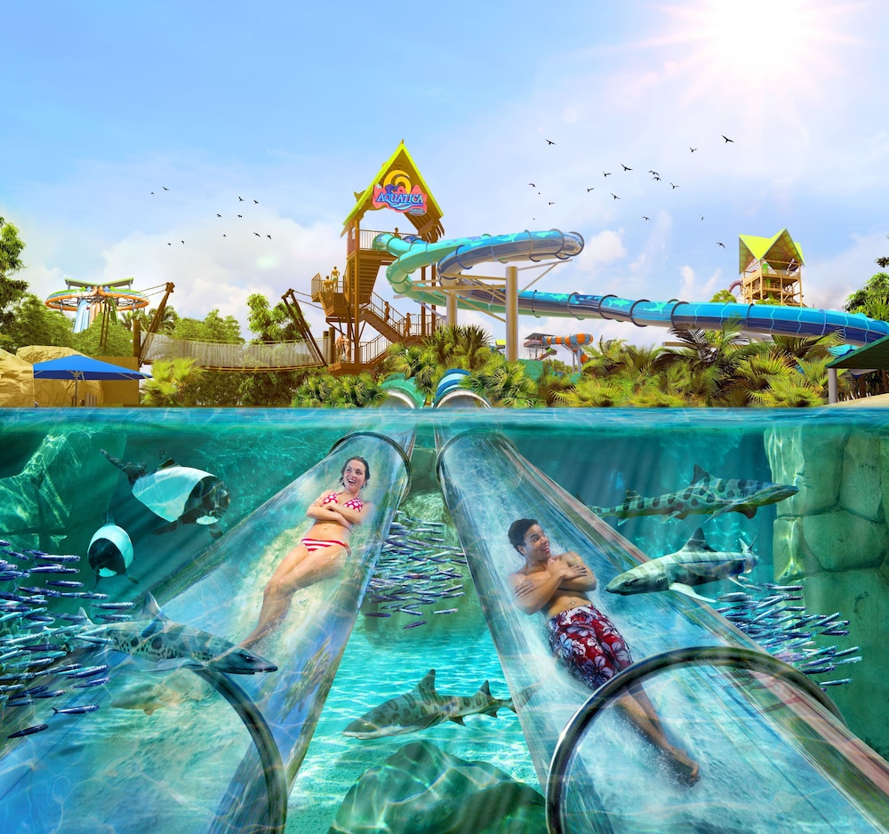 Staybridge Suites Orlando at SeaWorld by IHG — Swimming pool in Orlando, Florida