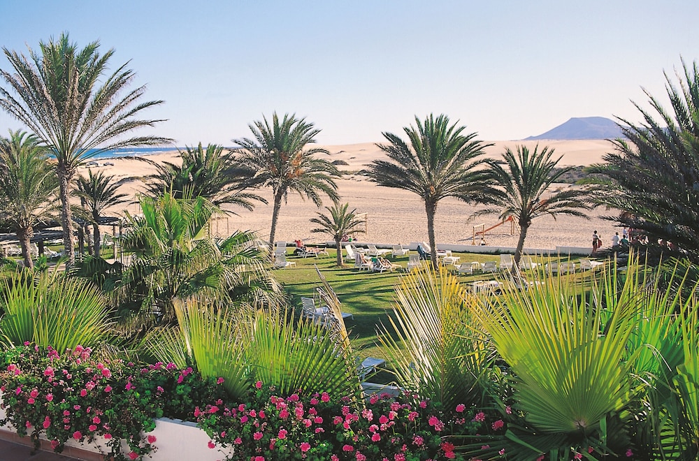 Hotel Riu Oliva Beach Resort - All Inclusive — Beach in Corralejo, Canary Islands