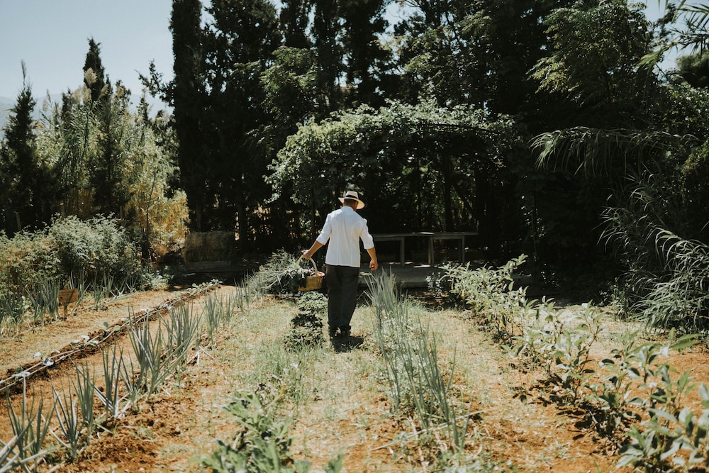 Phāea Cretan Malia, a Member of Design Hotels — Sports & recreation in Malia