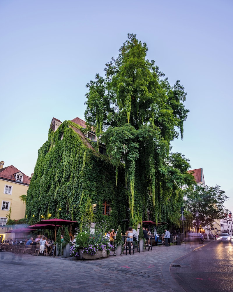 Platzl Hotel — Hotel building in Munich, Bavaria