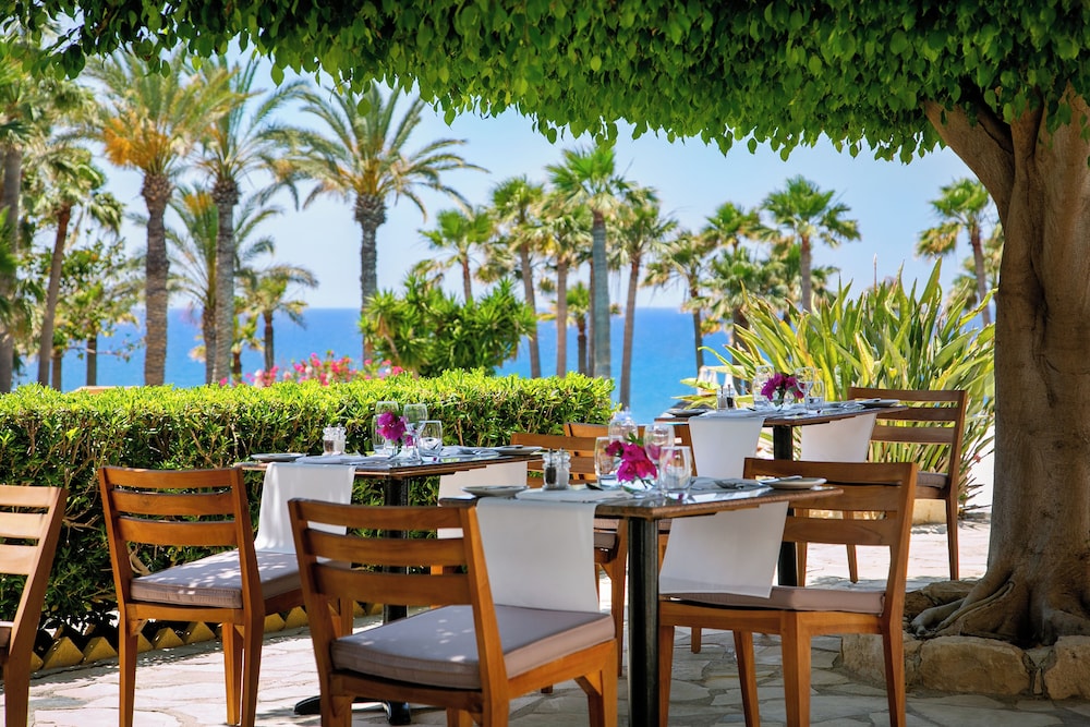 Azia Resort and Spa — Restaurant & bars in Chlorakas, Paphos Region