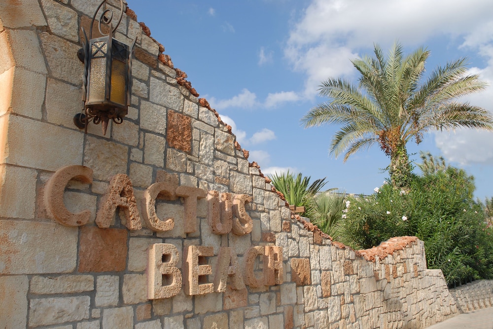 Cactus Beach Hotel — Hotel building in Stalida