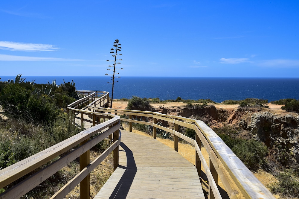 Aqualuz Lagos by The Editory — Attractions in the area in Lagos, Faro