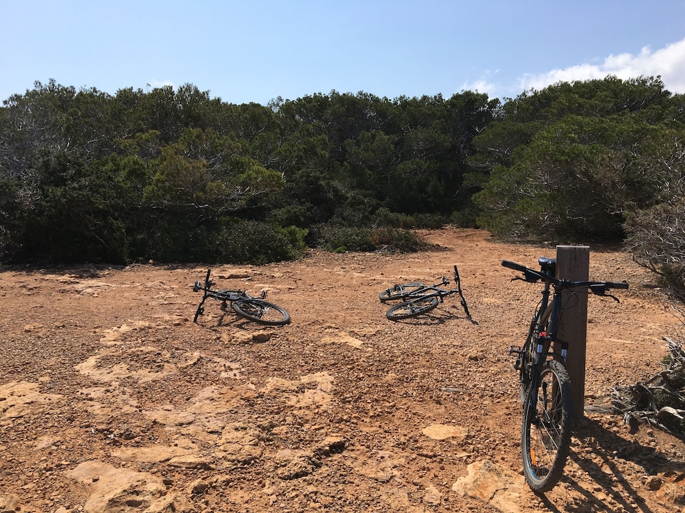 BG Hotel Tonga Tower — Attractions in the area in Can Picafort, Balearic Islands