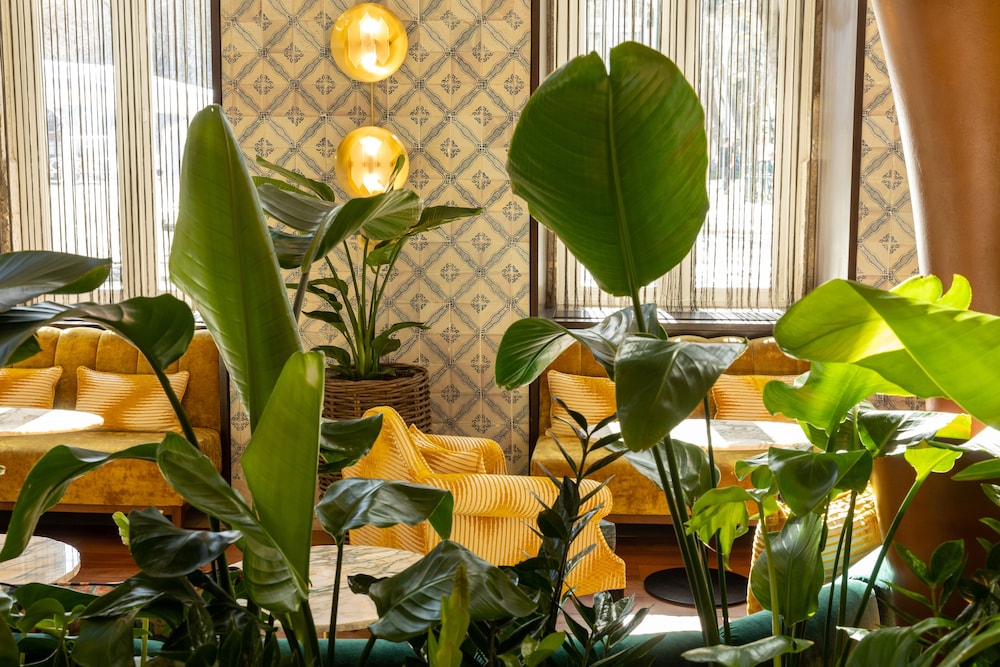 Heritage Avenida Liberdade Hotel - Avenida — Restaurant & bars in Lisbon, Lisboa