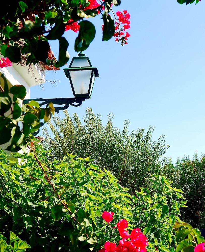 Muthu Balaia Sol — Attractions in the area in Albufeira, Faro